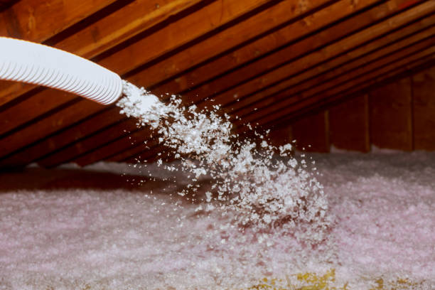 Best Insulation Installation Services in Rafter J Ranch, WY